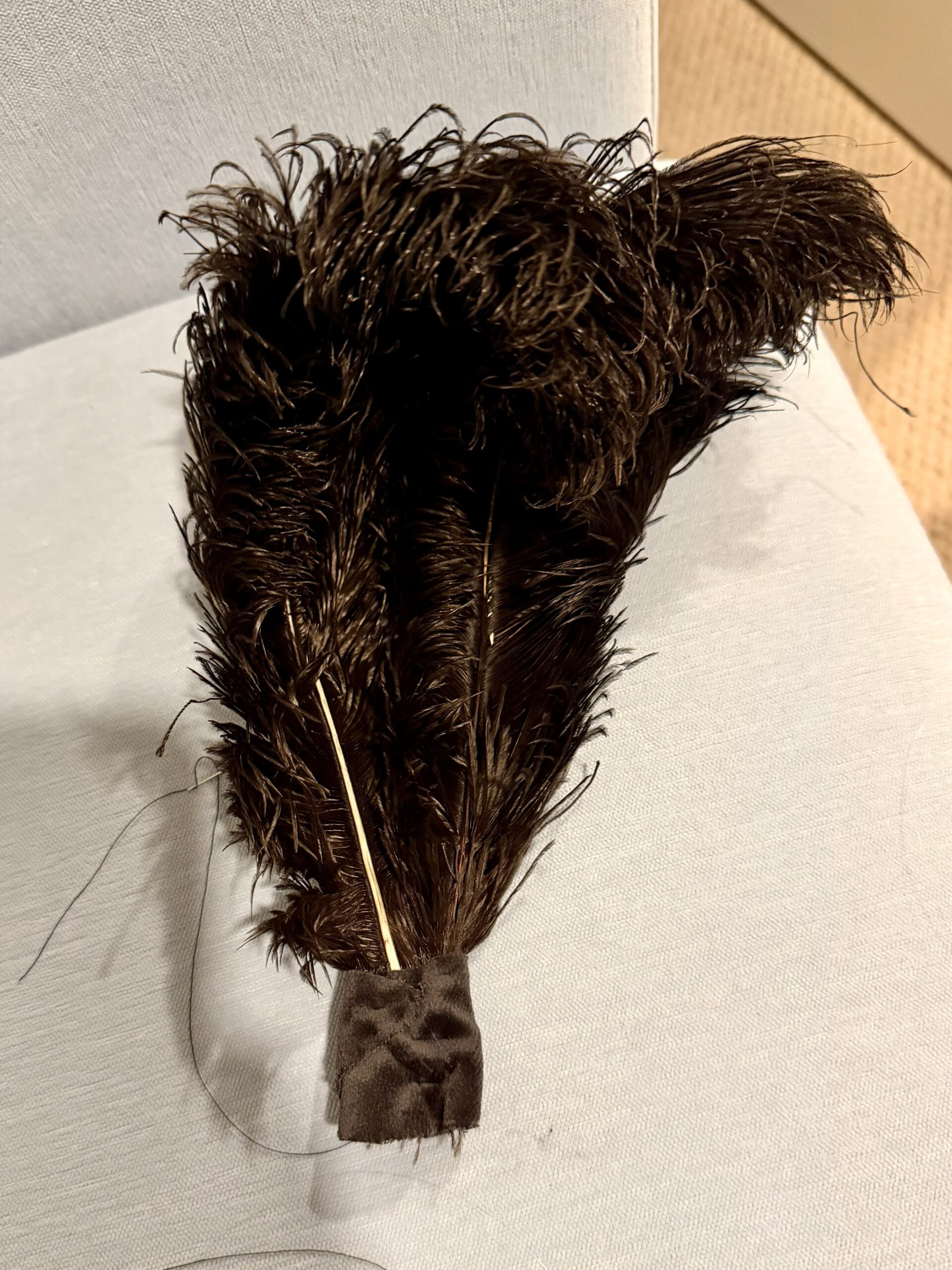 a spray of black ostrich feathers with the bases sewn into a fold of black velvet