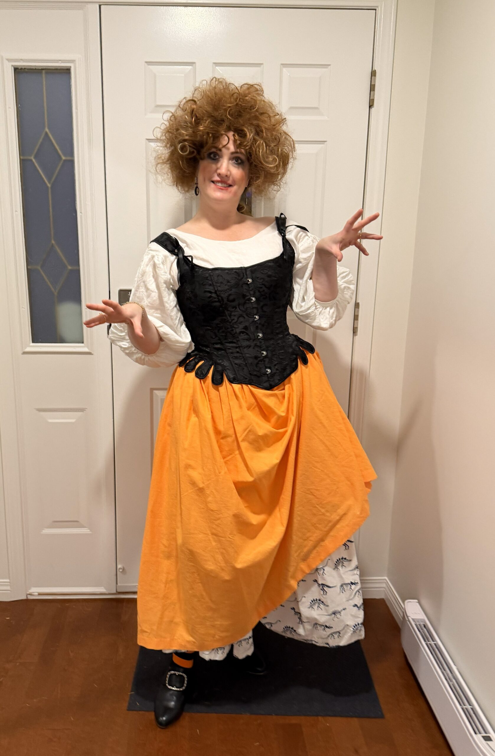 An 18th Century Pleated Petticoat