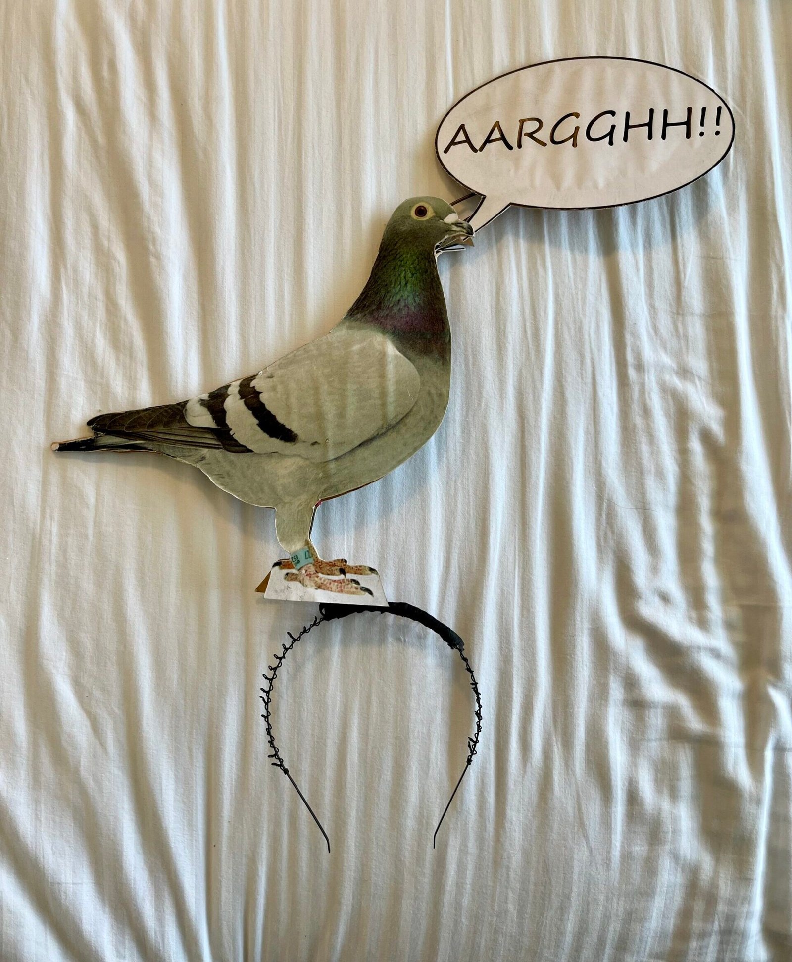 glued to a headband is a life size photograph of a pigeon. Attached to the pigeon's beak is a speech bubble that says "Aarggghh!"