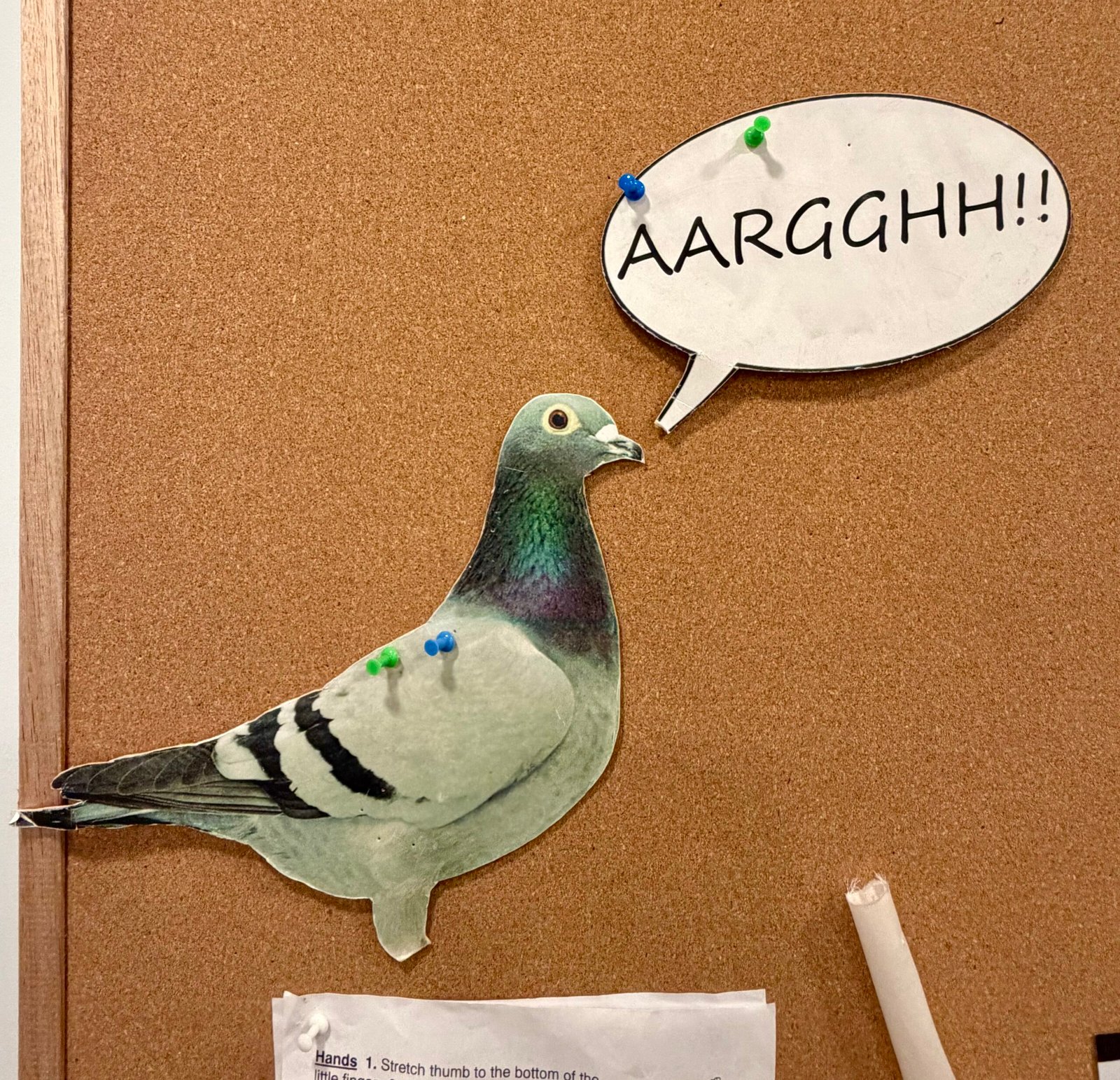 A cut-out photograph of a pigeon is pinned to a corkboard. Next to the pigeon's beak is a speech bubble saying "AARGGHH!!"